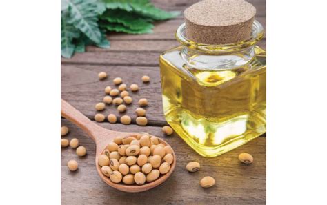 Hydrogenated soybean oil. Things To Know About Hydrogenated soybean oil. 